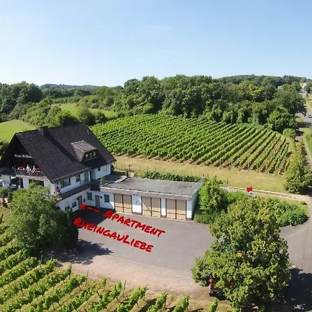 DAS Apartment am Weinberg Geisenheim Exterior foto